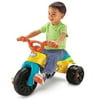 Fisher Price Diego Trike