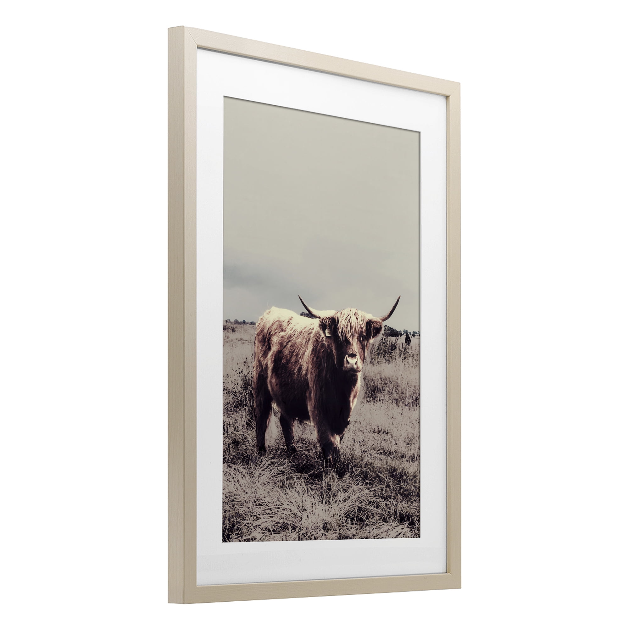 Stupell Industries Horned Cattle in Pasture Birch Framed Print Under Glass, design by SD Graphics Studio