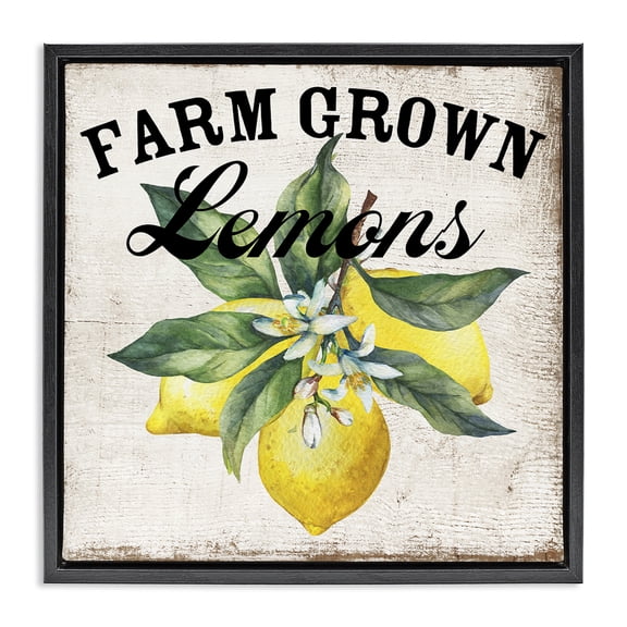 Stupell Industries Rustic Lodge Farm Grown Lemons Black Floating Frame Canvas Art, 18 x 18, by Creatif Belle