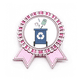 thumbnail image 1 of Mapa de la basura Insignia broche Medalla rosa premiada, 1 of 3