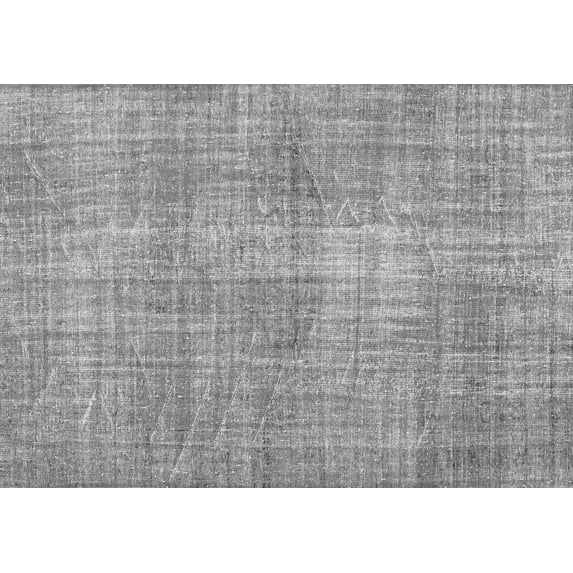 Ahgly Company Indoor Rectangle Persian Gray Traditional Area Rugs, 2' x 3'