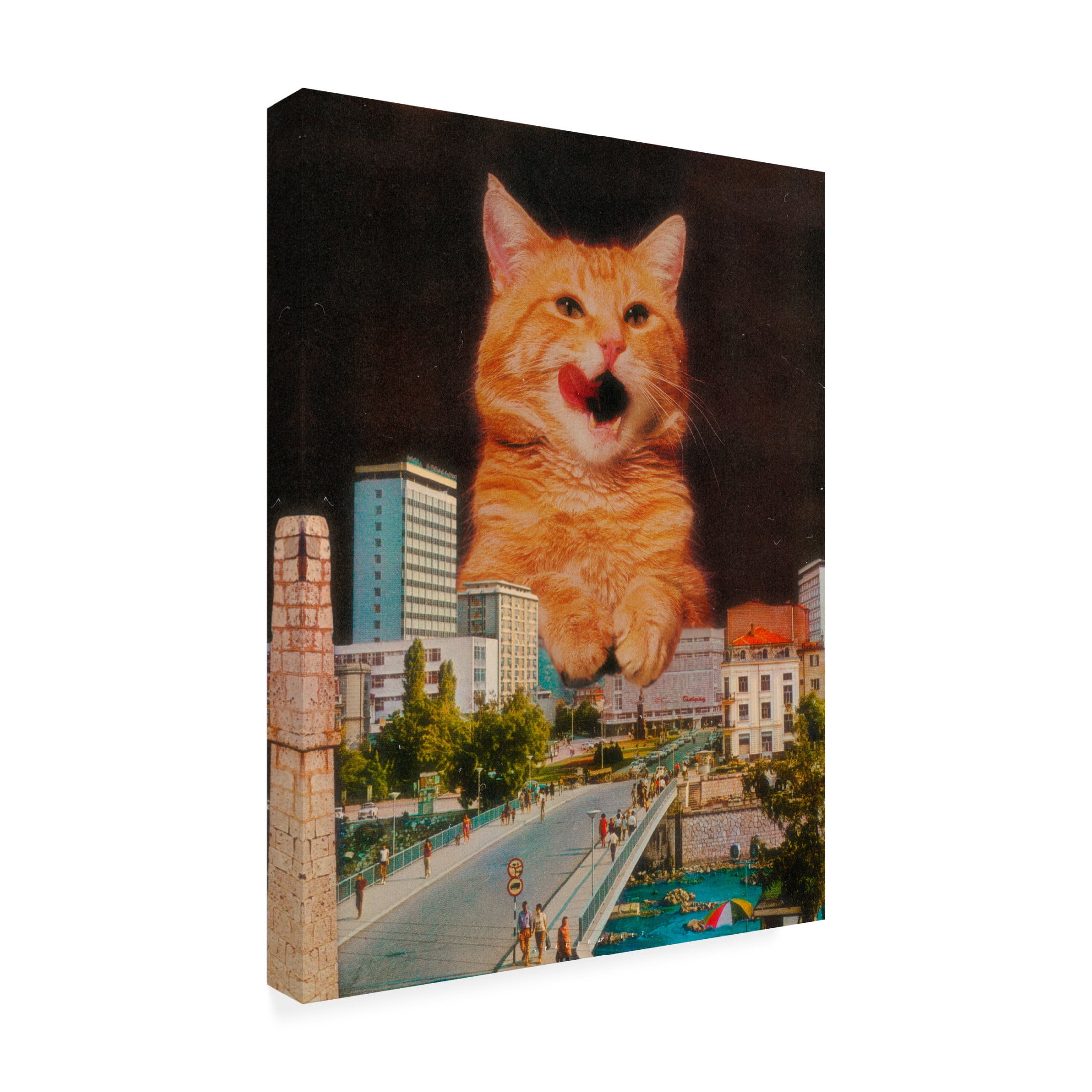 Trademark Fine Art spacerocket art  585 Canvas Wall Art