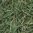 thumbnail image 4 of Rabbit Hole Hay Ultra Premium Soft Timothy Hay, 4 of 4