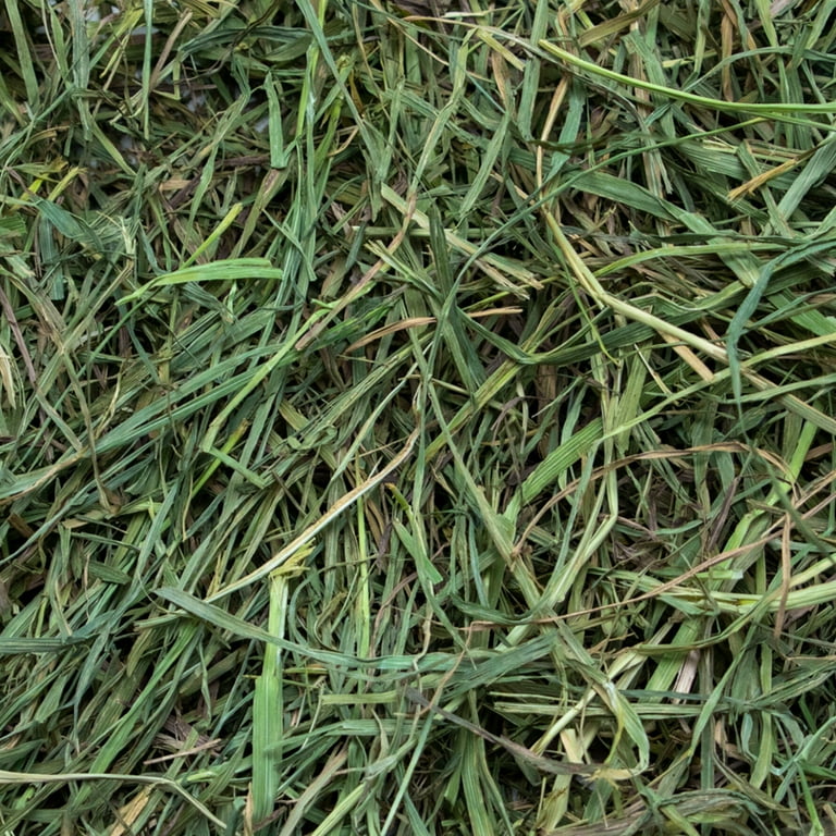 Rabbit Hole Hay, Ultra Premium Soft Timothy Hay; 24oz Bag