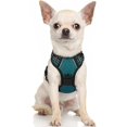 thumbnail image 1 of rabbitgoo Dog Harness  No-Pull Pet Harness with 2 Leash Clips  Adjustable Soft Padded Dog Vest  Reflective No-Choke Pet Oxford Vest with Easy Control Handle for Large Dogs Orange L, 1 of 9