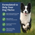 thumbnail image 4 of Blue Buffalo Life Protection Formula Grain Free Adult Dry Dog Food, Lamb, 4lb Bag, 4 of 11