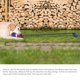 thumbnail image 3 of Al aire libre Tug Toy War para perro Molar Bite Squeaky Rope, 3 of 8
