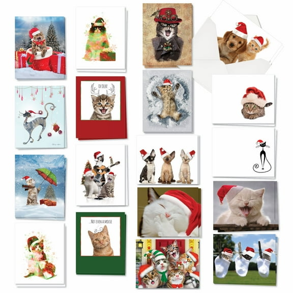 The Best Card Company 36 Assorted Christmas Notecards Bulk Box Set 4 x 5.12 Inch with Envelopes (18 Designs, 2 Each) Holiday Cats AM7846XSG-B2x18
