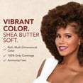 thumbnail image 2 of Creme of Nature Moisture-Rich Hair Color* Rich Brown C21, Ammonia Free Hair Dye Kit, 1 Application, 2 of 5