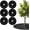 M, variant on 6 Pack Tree Rings, Round Tree Mulch Ring with Pre-Cut Hole, Heavy Duty Non-Woven Weed Barrier for Garden, Lawn, and Landscaping, L