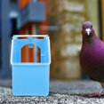 thumbnail image 4 of unbranded 4Ud Alimentador De Pájaros Para Jaula De Plástico Con Gran Capacidad Y Práctico, 4 of 8