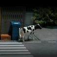 thumbnail image 2 of Baohd 1/64 Mini Cow Figurine Tiny for Model Train Layout DIY Scene Sand Table, 2 of 9