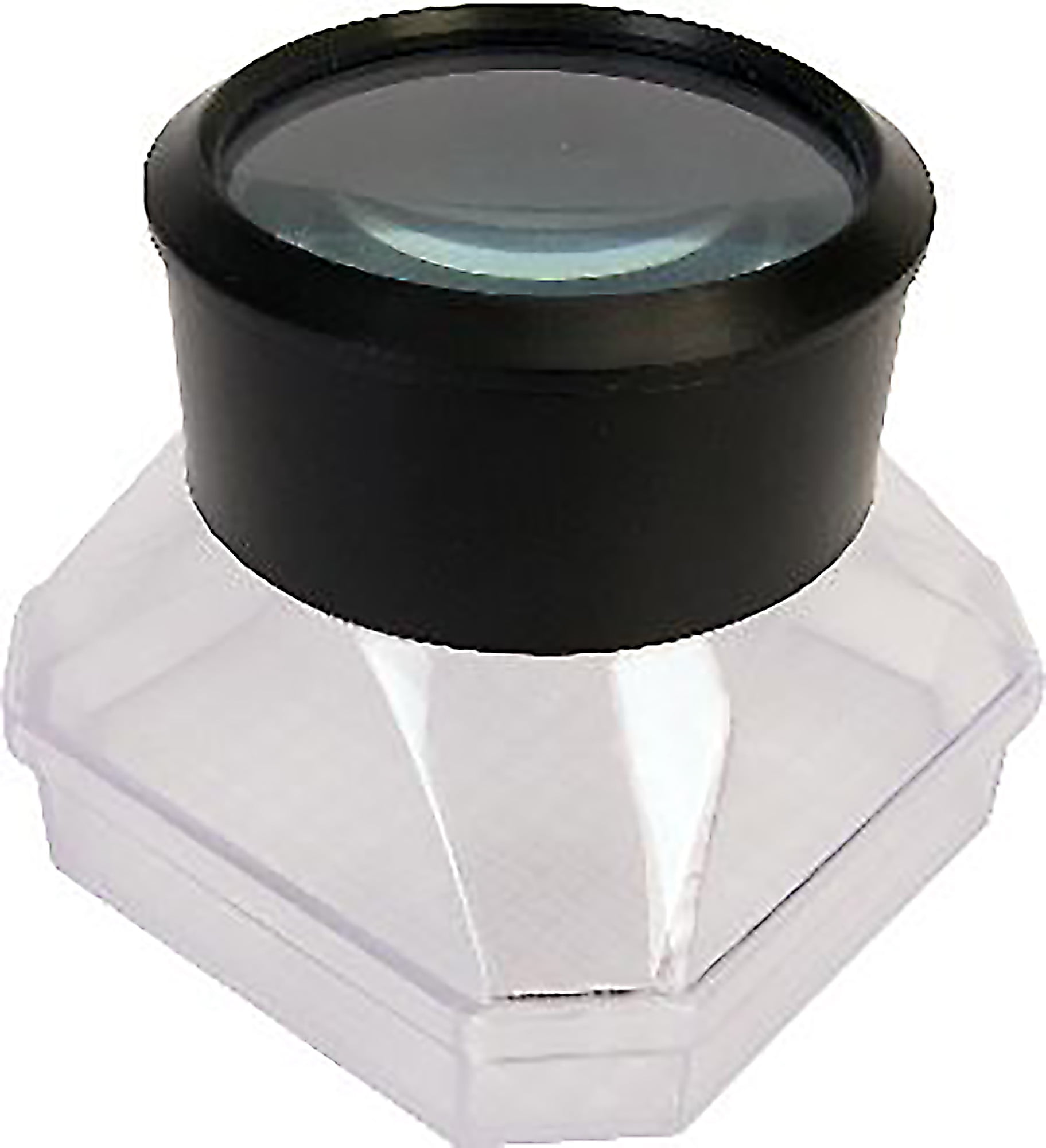 Jumbo Magnifying Glass Bug Viewer X 10 Pooter & FREE STUDY CARDS 