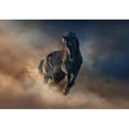thumbnail image 2 of wall26 - Beautiful Black Stallion Run in Desert Dust Against Sunset Sky - Removable Wall Mural | Self-Adhesive Large Wallpaper - 100x144 inches, 2 of 6