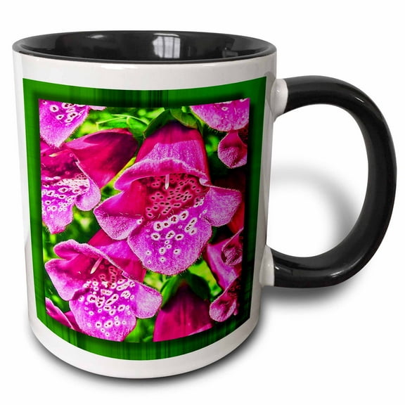 3drose, Foxgloves, 11oz Two-tone Black Mug