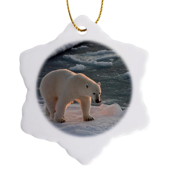 3drose, Norway, Svalbard, Spitsbergen. Polar Bear Walks on the Sea Ice., 3 inch Snowflake Porcelain Ornament