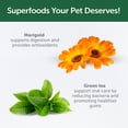 thumbnail image 5 of Nature's Protection Superior Care Dog Treat Sticks for Oral Care, Red Coat Puppies, Insect, 5.29oz, 5 of 8