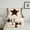 Brown Black White, variant on Manfei Texas Star Bedding Comforter Set 2pcs for Teens Adults,Western Rustic Cabin Twin Comforter Sets Microfiber,Exotic Style Breathable Bedding Set,Breathable Home Decor