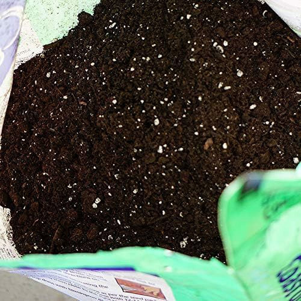6-pack Coast Of Maine Sprout Island Blend Seed Starter - Organic, Natural - 6 Pack, 8 Qt — Residential Use, Standard Application