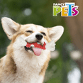 thumbnail image 2 of Juguete Femur Ch Sabor Tocino Fancy Pets fémur, 2 of 2