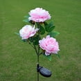 thumbnail image 2 of Toystoory Luces de flores de peonía Lámpara de flor de peonía solar de iluminación suave resistente al agua y duradera para exteriores Jardín y Patio, 2 of 6