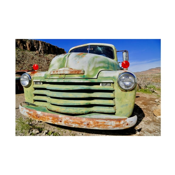 Susan Vizvary Photography 'Vintage Green Grill 2' Canvas Art