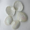 thumbnail image 6 of 10pcs Sea Shell Party Favors – Ocean-Themed Jewelry Boxes for Birthday, Beach & Under the Sea Parties – Lightweight Durable Plastic Treat Containers for Kids, Teachers, Event Planners, 6 of 7