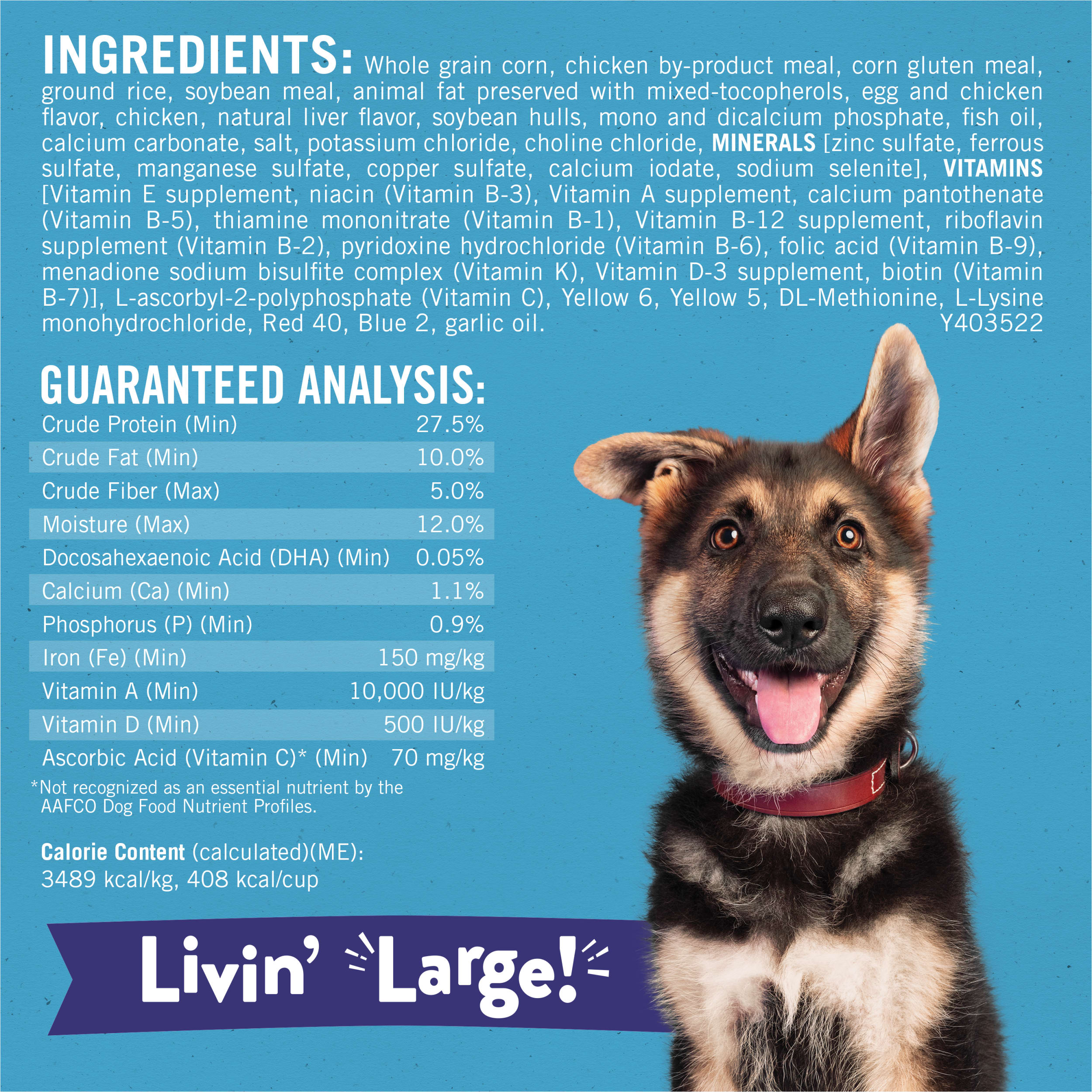 Purina Puppy Chow Large Breed Dry Dog Food photo 5