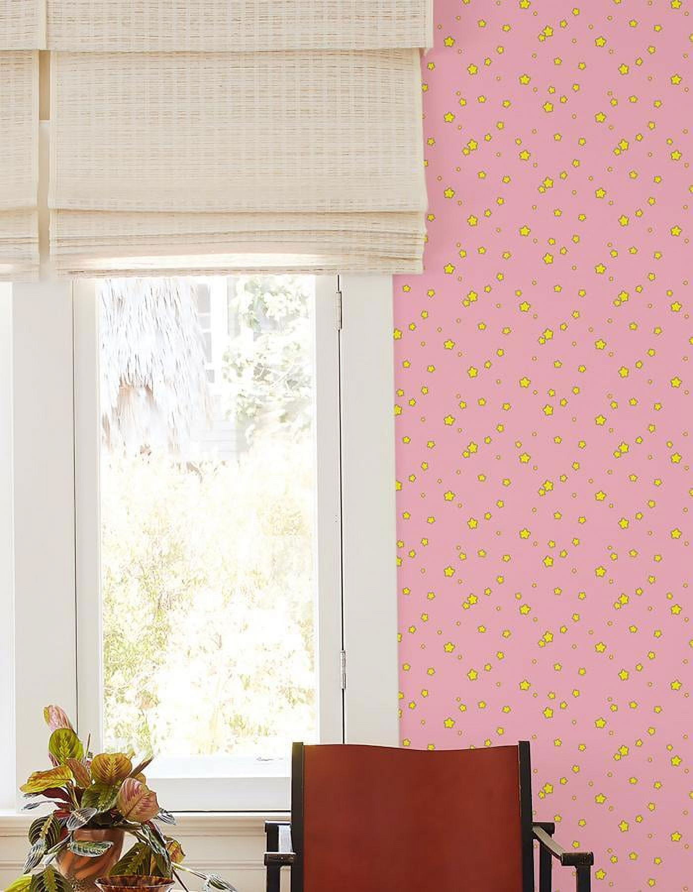 Shooting Stars Removable Vinyl Wallpaper by Barbie - Bubblegum