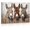 Frame-style, variant on Funny Donkey Canvas Wall Art Three Cute Donkeys Peeking Over Wooden Fence Farmhouse Decor Rustic Country Animal Poster Prints Pictures for Living Room Bedroom Home