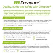 The Genius Brand Genius Creatine - Ultra Pure Creatine Monohydrate Plus Nootropics Including Beta Alanine and AstraGin for Improved Absorption, Strength, and Performance - Green Apple, 25 Servings