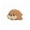 7263 Marine small creature - walrus, variant on Children's simulated ocean building blocks, small particle moving animal fish model, shark, underwater world biological model building block toys, holiday birthday gift