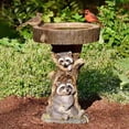 thumbnail image 2 of Natural Bird Bath Easy to Clean Resin Little Raccoon Sunflower Bird Feeder Garden Decor, 2 of 6