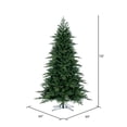 thumbnail image 3 of Vickerman 10' x 64" Kingston Fraser Fir Artificial Christmas Tree, Unlit, 3 of 4