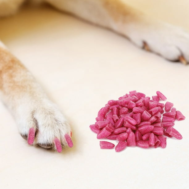 Clou De Chien, 100 Pièces, Griffes De Chien Souples Et Colorées, Couvre- ongles, Contrôle Des Pattes Avec Adhésif Et Applicateurs Pour Griffes De  Chien 