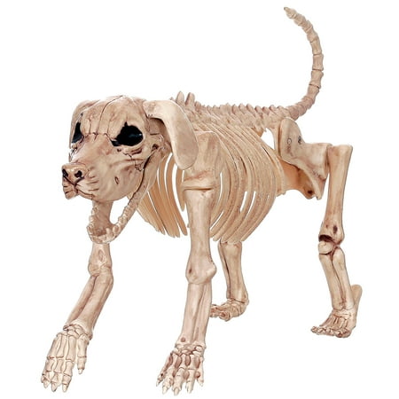 Skeleton Dog - Beagle Bonez, 10.75