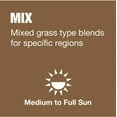 thumbnail image 4 of 3 lbs. Fast Grass Seed Mix with Water Saver Seed Coating, 4 of 5
