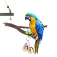thumbnail image 4 of 2Count Parrot Tenedor Stand # 3 Rack Toy Hamster Squirrel Branch Perches Jaula De Juguete Yinane Pájaro Loro Rama Juguete, 4 of 8