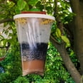 thumbnail image 4 of Redtop Outdoor Fly Trap for Bees Flies Mosquitoes Insect Catcher Hanging Set, 4 of 8