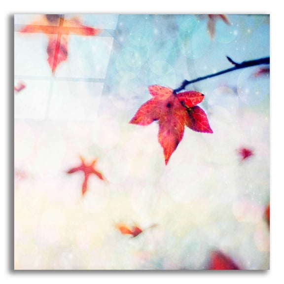 Epic Art 'All Fall Down' by Dawn D Hanna, Acrylic Glass Wall Art, 12"x12"