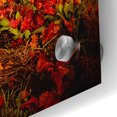thumbnail image 3 of Epic Art 'Autumn Vines' by Jessica Rogers, Acrylic Glass Wall Art, 24"x36", 3 of 8