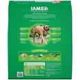 IAMS High Protein with Real Chicken Flavor Dry Dog Food for Large Breed