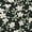Black, variant on Women's Floral Print Elastic Waist Square Neck Ruffled Hem Belted Midi Dress White L