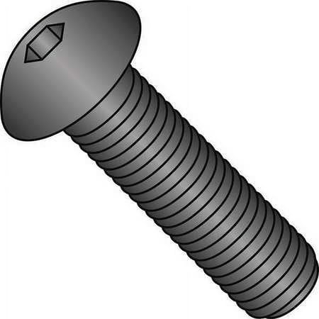 

American Sockets Button Hd Cap Blk Ox 10-24X3/8 PK100 1006CSB