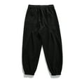 thumbnail image 6 of POROPL Mens Sweatpants Joggers Running Gym Hiking Fuzzy Elastic Bottom Pants with Pockets Size S-XXL, 6 of 9