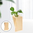 thumbnail image 3 of Florero hidropónico Baoblaze de madera y cristal, 3 of 8
