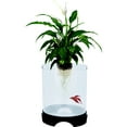 thumbnail image 3 of Penn-Plax Aqua-Ponic Plastic Betta Tank & Hydroponic Planter –  for Plants and Fish – 1.4 Gallon, 3 of 9