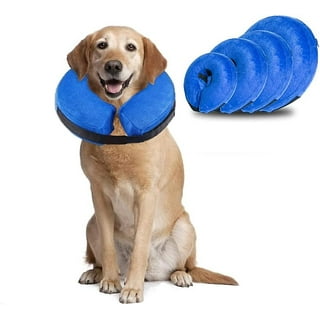 Dog cones walmart hotsell