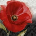 thumbnail image 3 of Knutsen, Conrad 15x15 Black Modern Framed Museum Art Print Titled - Poppy Perfection I, 3 of 5