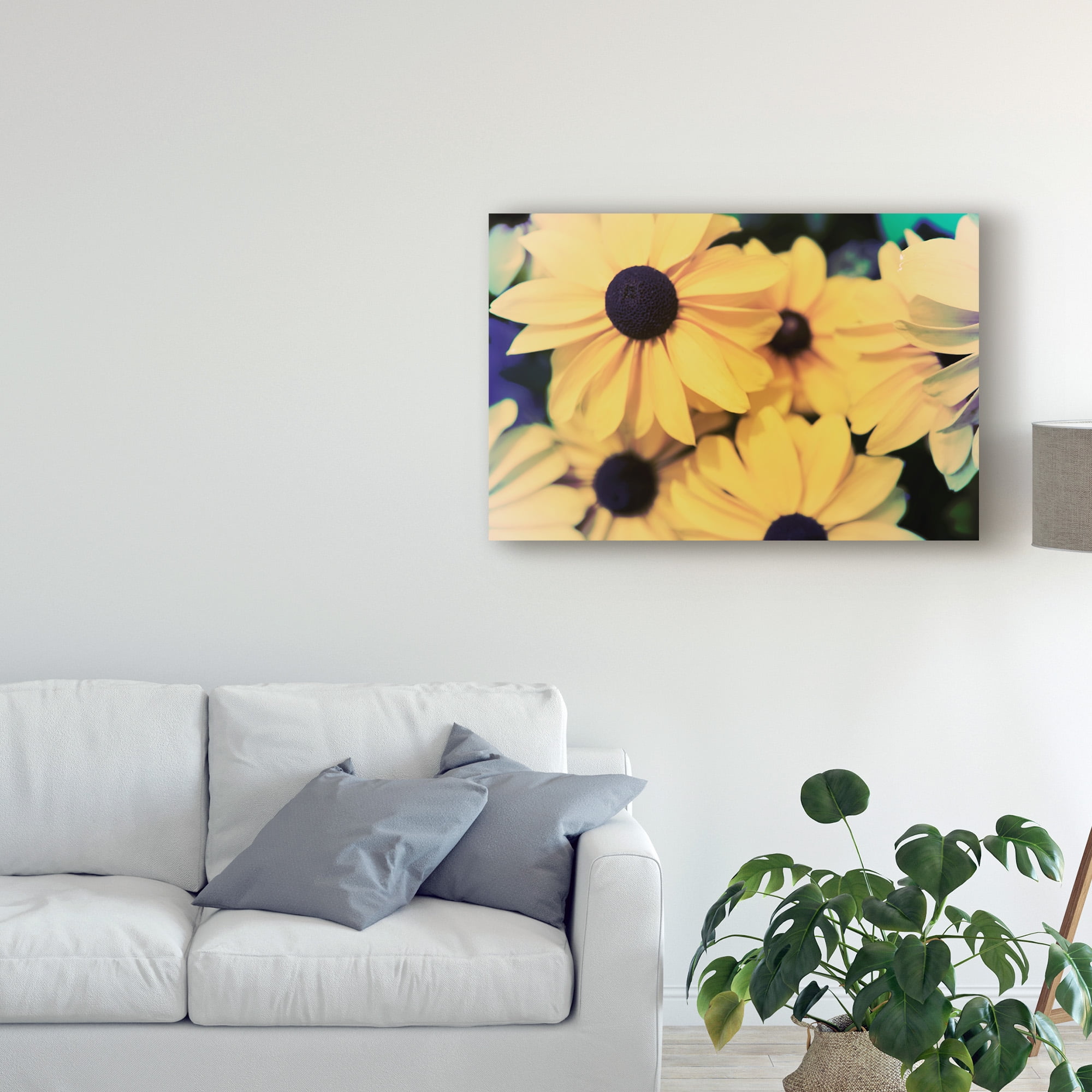 Trademark Fine Art 'Susans I' Canvas Art by Jason Johnson